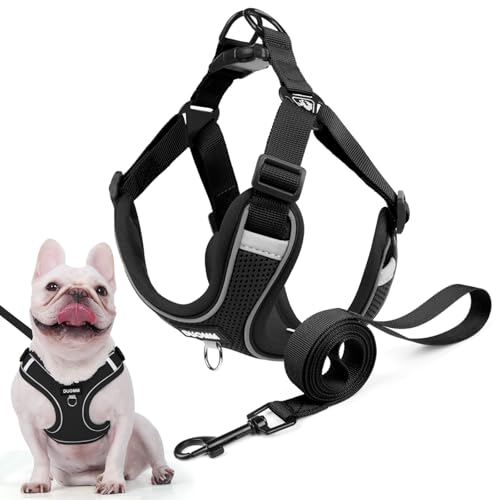 Hundegeschirr für Kleine Mittelgroße Hunde, Anti Zug Reflektierend Welpengeschirr mit Leine, Verstellbar Air Mesh Atmungsaktiv Brustgeschirr für Hunde Gassigehen, Training und Reisen (Schwarz, XS) von AKOFIC