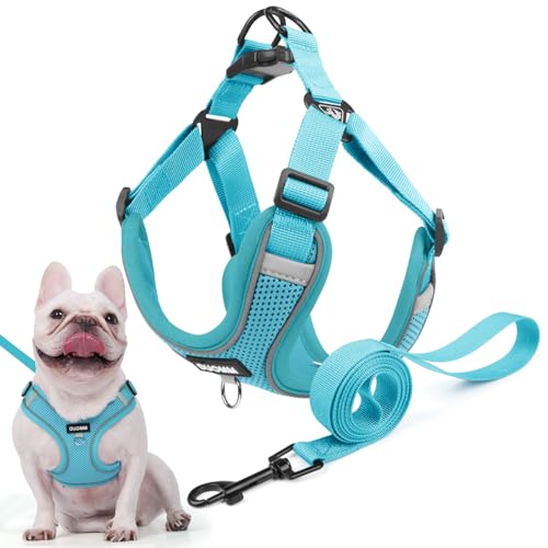 Hundegeschirr für Kleine Mittelgroße Hunde, Anti Zug Reflektierend Welpengeschirr mit Leine, Verstellbar Air Mesh Atmungsaktiv Brustgeschirr für Hunde Gassigehen, Training und Reisen (Seeblau, L) von AKOFIC