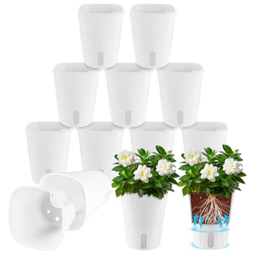 AKOLAFE 12 Stück Selbstbewässerungstopf mit Wasserstandsanzeiger 9,5CM Self Watering Pot Kräutertopf mit Bewässerungssystem Küche Blumentopf Selbstbewässernd Selbstwässernder Blumentopf für InnenAußen AKOLAFE 12 Stück Selbstbewässerungstopf mit Wasserstandsanzeiger 9,5CM Self Watering Pot Kräutertopf mit Bewässerungssystem Küche Blumentopf Selbstbewässernd Selbstwässernder Blumentopf für InnenAußen von AKOLAFE