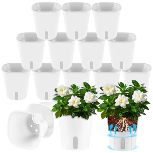 AKOLAFE 14 Stück Selbstbewässerungstopf mit Wasserstandsanzeiger 7,5CM Self Watering Pot Kräutertopf mit Bewässerungssystem Küche Blumentopf Selbstbewässernd Selbstwässernder Blumentopf für InnenAußen AKOLAFE 14 Stück Selbstbewässerungstopf mit Wasserstandsanzeiger 7,5CM Self Watering Pot Kräutertopf mit Bewässerungssystem Küche Blumentopf Selbstbewässernd Selbstwässernder Blumentopf für InnenAußen von AKOLAFE