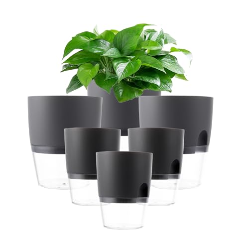 AKOLAFE 6 Stück Selbstbewässerungstopf mit Wasserstandsanzeiger 15,3CM/10,5CM Self Watering Pot Kräutertopf mit Bewässerungssystem Küche Blumentopf Selbstbewässernd Selbstwässernder Blumentopf Grau von AKOLAFE