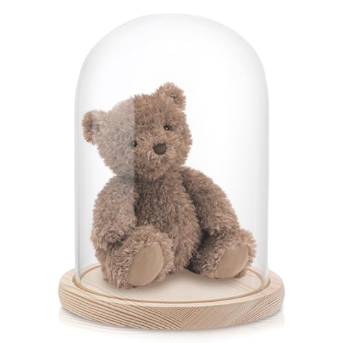 AKOLAFE Glasglocke mit Holzboden 21cm Hoch Glaskuppel Deko 17cm Durchmesser Glashaube Glasglocke Transparent Glasglocke Deko für Puppen, Kerzen, Sammlerstücke (Ohne Lampe) von AKOLAFE