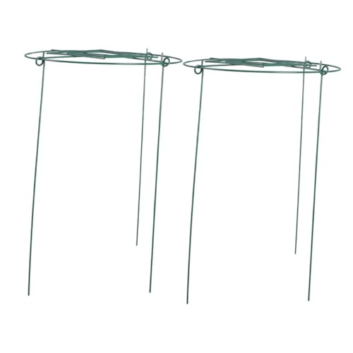 AKOOSY 2 Stück Metall Pflanzen Rankhilfe Kletterpflanzen Spalier Gartenpflanzen Stütze Pflanzengitter für Terrasse Grünfläche und Blumenkübel Rostfreier Pflanzengestell Kletterhilfe AKOOSY 2 Stück Metall Pflanzen Rankhilfe Kletterpflanzen Spalier Gartenpflanzen Stütze Pflanzengitter für Terrasse Grünfläche und Blumenkübel Rostfreier Pflanzengestell Kletterhilfe von AKOOSY