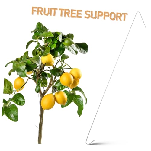 AKOOSY 50 Stück Astspreizer Verzinktem Teiliges Langlebiges Werkzeug zur Astformung und Astspreizung Installieren Geeignet für Apfel Birnen und Pfirsichbäume im von AKOOSY