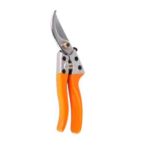 AKOOSY Gartenschere Pruner mit Edelstahlklinge Federunterstützt Rutschfester Griff für Gartenpflanzen Blumen Zweige Baumzweige Schnitt AKOOSY Gartenschere Pruner mit Edelstahlklinge Federunterstützt Rutschfester Griff für Gartenpflanzen Blumen Zweige Baumzweige Schnitt von AKOOSY
