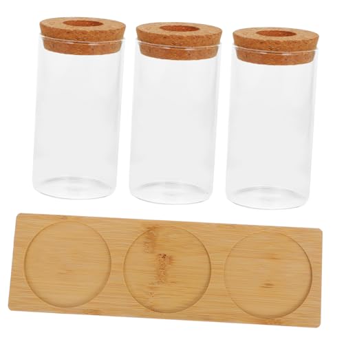 AKOOSY Glas Pflanzgefäß Teilig mit Holztablett Kompakte Desktop Hydroponik Anzuchtstation für Kleine Pflanzen Stilvolles Terrarium für Büro und Wohnraumdekoration Grüne Mini Ökosysteme von AKOOSY