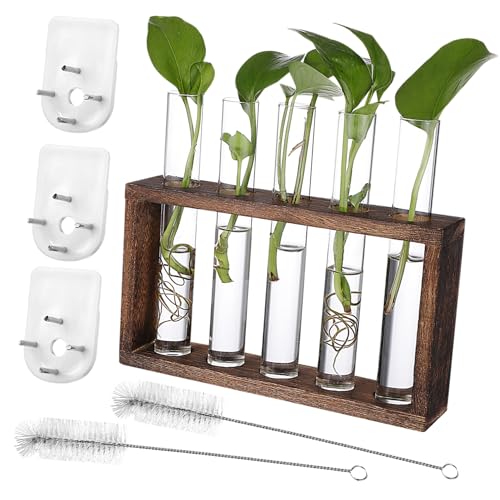 AKOOSY Hydroponische Pflanzenstation Holzständer mit Glas Propagationsröhrchen und Reinigungsbürsten für Wand und Tischpflanzen Wie Efeu Schilf Violette Blumen Geeignet für Zimmer Balkon von AKOOSY