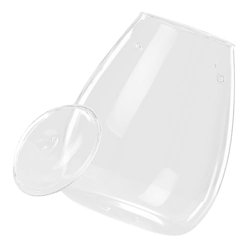 AKOOSY Terrarium Glasvase für DIY Mini Ökosystem Glatte Oberfläche Leicht zu Reinigen Dekorativer Glasbehälter für Tischdeko Küchenfenster Indoor Outdoor Nutzung Langlebiges Glas von AKOOSY