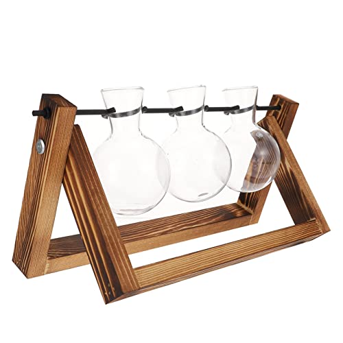 AKOOSY Terrarium mit Holzständer Transparente Hydrokultur Pflanzenvasen für Zwiebelvermehrung Dekorative Desktop Pflanzgefäße für und Büro Langlebig und Stilvoll AKOOSY Terrarium mit Holzständer Transparente Hydrokultur Pflanzenvasen für Zwiebelvermehrung Dekorative Desktop Pflanzgefäße für und Büro Langlebig und Stilvoll von AKOOSY