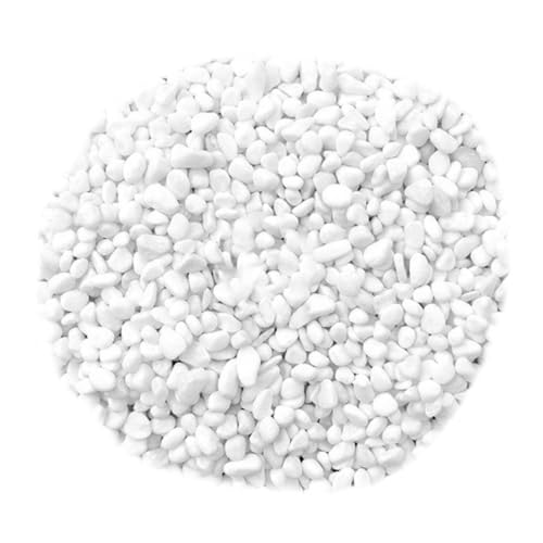 AKOOSY Weißer Dekostein Aquarium Kies für Gartendekoration Sukkulenten Blumentöpfe und Fischbecken Natürlicher Kleiner Zierkies für Aquarien und Pflanzgefäße von AKOOSY