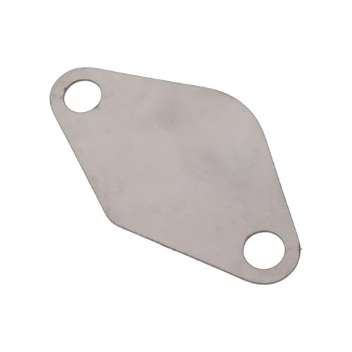 Reparaturdichtung Kompatibel Mit Für F Chassis 2.0D 3.0D Motor Abgas Reinigung Und Rezirkulation EGR Ventil Blind Ventil Abdeckung von AKSDYIR