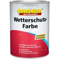 Akzonobel - Consolan Profi Wetterschutzfarbe Grün 10L Pro 5075854BaDe von AKZONOBEL