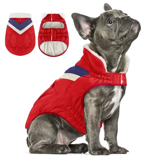 Hundejacke Hundemantel Winter Warme Hundekleidung Hoher Kragen Hundemantel mit Klettverschluss Welpenmantel ALADC1104-Red-S von ALAGIRLS