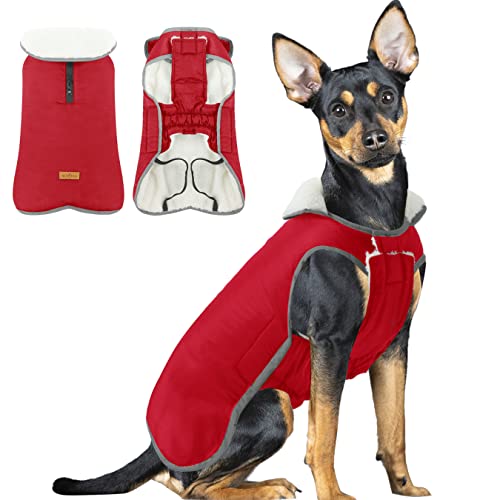 Wasserdichter Fleece Hundemantel, Reflektierend Hund Regenmantel für Kleine Hunde, Winter Warm Hundejacke Welpen Hundebekleidung Weste für Chihuahua, Red S von ALAGIRLS