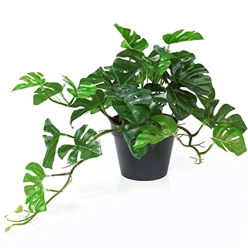 Kunstpflanze Monstera 26.6cm, Künstliche Monstera Pflanzen Deko im Topf, Plastik Künstliche Hängepflanzen Deko Modern Außenbereich für Heim Büro Wohnzimmer Schlafzimmer Badezimmer Küche Dekoration von ALAGIRLS