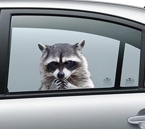 2 Stück Waschbär-Fensteraufkleber, 3D-Aufkleber, witzige Aufkleber, Waschbär-Aufkleber+1q 2 Stück Waschbär-Fensteraufkleber, 3D-Aufkleber, witzige Aufkleber, Waschbär-Aufkleber+1q von ALANZE