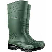 Protector Plus S5 grün (590250-600) 40 - Albatros von ALBATROS