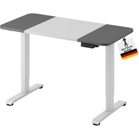 Höhenverstellbarer Schreibtisch lift 4P12, 120 x 60cm,120cm x 60xm, Weiss/Grau - Albatros von ALBATROS