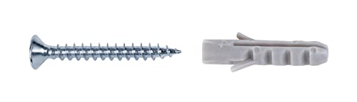 Alberts 426200 Schrauben- und Dübel-Set | zur Befestigung von Teppichprofilen und Teppichkantenprofilen | verzinkt | 25 x 3 mm | 10er Set von Alberts