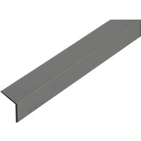 Alberts - Winkelprofil, Alu anthr. besch., LxBxHxS 1000 x 20 x 20 x 1 mm von ALBERTS