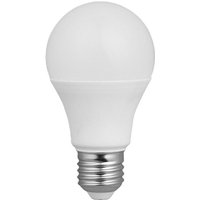 Klassische LED-Glühbirne 10W E27 12-24V 3000K von ALCAPOWER
