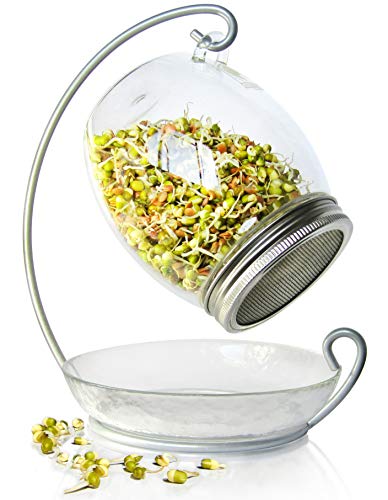 Premium Sprossengläser-Set - einzigartiges 850 ml großes Keimglas, Ständer, Tablett und 316 Edelstahl-Siebdeckel | dekorativer Saatgut für den Innenbereich (1 Set) von ALCEDIA