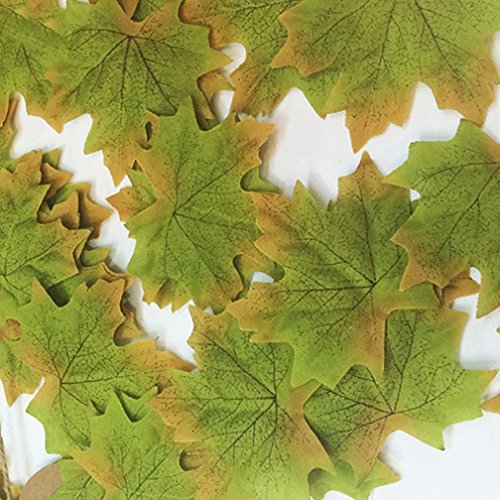 Alcyoneus 100 Stück herbstliche künstliche Seidenblätter Herbst Ahornblatt Hochzeit Dekoration (grün) von ALCYONEUS
