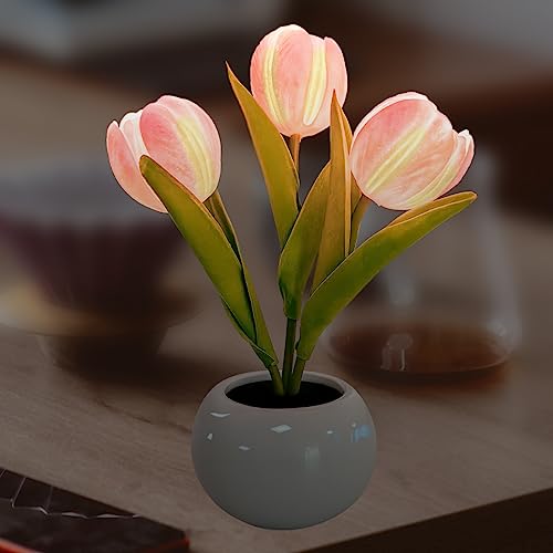 ALEENFOON Tulpen Lampe Tulpen-Nachtlicht mit Keramikvase Simulation Tulpe LED Tischlichter Künstliche Blume Tischlampe für Zuhause, Büro, Party, Hochzeit, Geburtstag (Rosa) von ALEENFOON