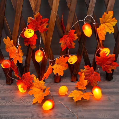 Herbst Lichterkette, 1,5M 10 LED Kürbis Kastanie Ahornblätter Lichterkette Batterie, Herbstdeko Ahornblatt Lichterketten Innen Außen, Lichterketten Herbst für Halloween, Weihnachten, Herbst Dekoration von ALEGRE