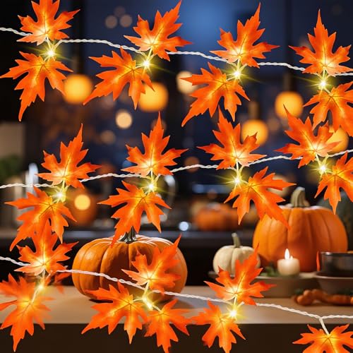 ALEGRE Herbst Lichterkette,3M 20 LED Ahornblätter Lichterkette Batterie mit Timer,Herbstdeko Künstliche Ahornblatt Lichterketten Innen Außen,String Lights für Halloween, Weihnachten, Herbst Dekoration ALEGRE Herbst Lichterkette,3M 20 LED Ahornblätter Lichterkette Batterie mit Timer,Herbstdeko Künstliche Ahornblatt Lichterketten Innen Außen,String Lights für Halloween, Weihnachten, Herbst Dekoration von ALEGRE