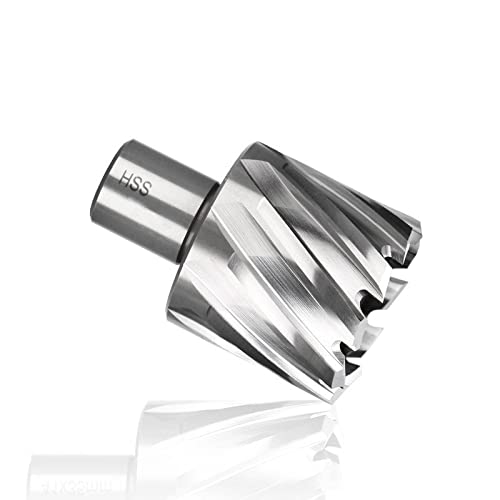 ALEYHA HSS Ringschneider Kernbohrer 19mm Weldonschaft Hohlbohrer Lochsägenschneider,30 X 35 Mm von ALEYHA