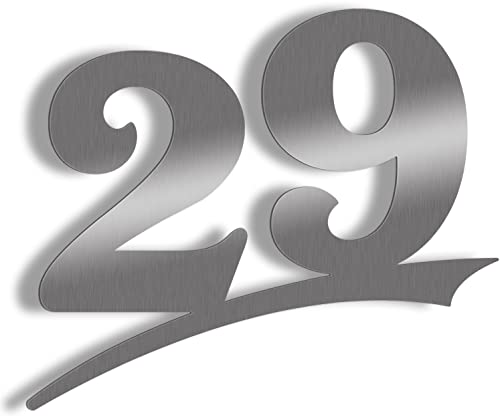 Hausnummer Edelstahl gebürstet mit große Zahlen - frei wählbar zwischen Hausnummer 1-29, 16cm, 20cm, 30cm Türschild Sonderanfertigung aus Edelstahl Hausnummer XXL (Hausnummer 29 / 16cm) von ALEZZIO