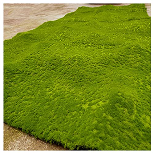 ALFAAL Deko Moos Künstlich Fake Gras Teppich Mini Mikro Landschaft Dekoration Kunstmoos Geeignet für Haus Hof Garten Terrasse (Color : K, Size : 100x100cm) von ALFAAL