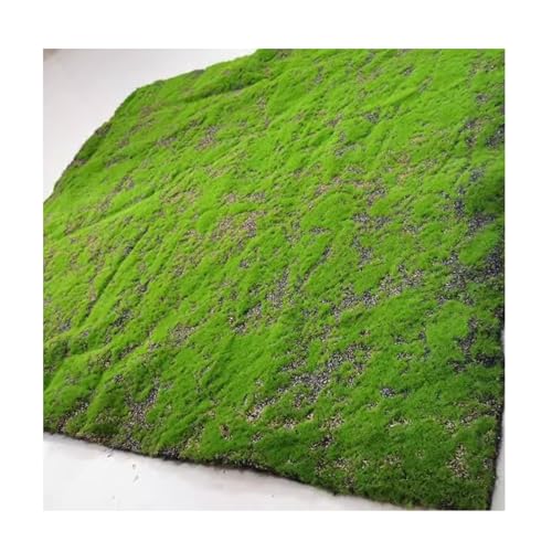 ALFAAL Künstliche Moosmatte Simulation Moos-Rasen Moosmatte Verwendet für Die Dekoration von Fenstern Cafés Hotels (Color : C, Size : 100x100cm/39.37x39.37in) von ALFAAL