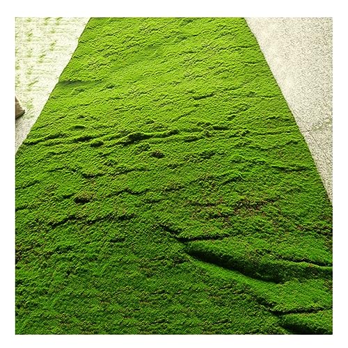 ALFAAL Kunstrasen Moos Künstlicher Moosflechtenrasen Artificial Grass Table Runner Dekorative Schaufenster Auf Dem Gartenplatz (Color : B, Size : 100x100cm/39.37x39.37in) von ALFAAL