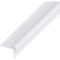 alfer Treppen-Abschluss-Profil 1 m, 40 x 30 x 3 mm Alu eloxiert silber Profil alfer Treppen-Abschluss-Profil 1 m, 40 x 30 x 3 mm Alu eloxiert silber Profil von ALFER