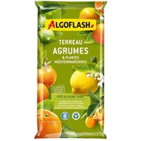 Blumenerde für Zitrus- und mediterrane Pflanzen, ALGOFLASH 6 Liter Algoflash Blumenerde für Zitrus- und mediterrane Pflanzen, ALGOFLASH 6 Liter Algoflash von ALGOFLASH