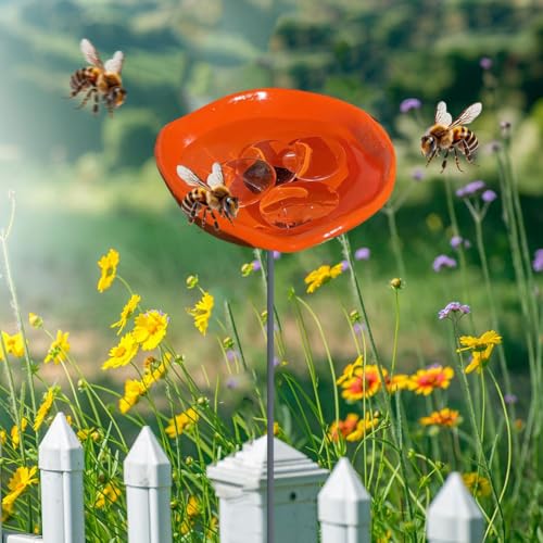 Bienen Tränkstation mit Murmeln Schmetterlings Tränke Kolibri Wasserspender for Außenbereich Trinkbecher for Schmetterlinge Bienen, Bienenbäder Attraktor Wildvogel Wasserstation Gartendekor von ALINUOYQ