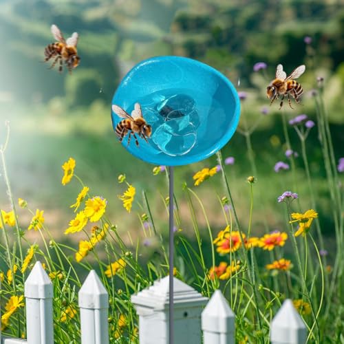 Bienen Tränkstation mit Murmeln Schmetterlings Tränke Kolibri Wasserspender for Außenbereich Trinkbecher for Schmetterlinge Bienen, Bienenbäder Attraktor Wildvogel Wasserstation Gartendekor von ALINUOYQ