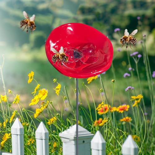 Bienen Tränkstation mit Murmeln Schmetterlings Tränke Kolibri Wasserspender for Außenbereich Trinkbecher for Schmetterlinge Bienen, Bienenbäder Attraktor Wildvogel Wasserstation Gartendekor von ALINUOYQ
