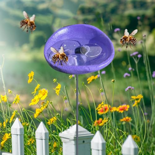 Bienen Tränkstation mit Murmeln Schmetterlings Tränke Kolibri Wasserspender for Außenbereich Trinkbecher for Schmetterlinge Bienen, Bienenbäder Attraktor Wildvogel Wasserstation Gartendekor von ALINUOYQ