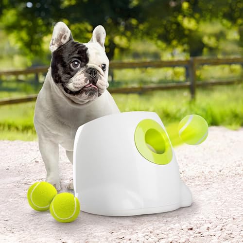 ALL FOR PAWS Automatischer Ballwerfer für Hunde, Hunde Ball Interaktive Ballwurfmaschine 3Pcs 2" Tennisbällen Inklusive, für Kleine und mittlere Hunde, Interaktives Hundespielzeug von ALL FOR PAWS