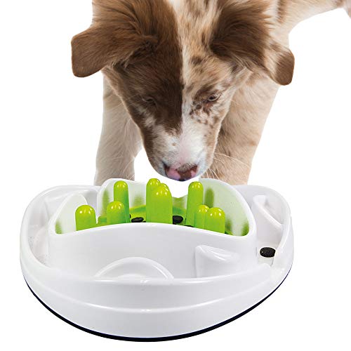 ALL FOR PAWS Interaktives Futternapf für Hunde und Welpen, mit Labyrinth-Puzzle, Spielzeug – Anti-Schlupf verlangsamt das Essen von AFP