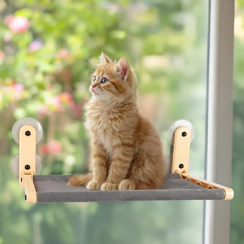ALL FOR PAWS Katzenhängematte am Fenster für Hauskatzen – Kabellos Design, Extra große Saugnäpfe, Fenster-anliegend zusammenklappbar, Grau von ALL FOR PAWS