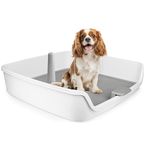 All For Paws Hundetöpfchen Tablett Indoor Hundetoilette mit abnehmbarem Pfosten & Schutzwand, 63 x 63 cm, großes Netzgitter, Hunde-Pad Halter mit abnehmbarer Säule, Welpentoilette für Töpfchentraining All For Paws Hundetöpfchen Tablett Indoor Hundetoilette mit abnehmbarem Pfosten & Schutzwand, 63 x 63 cm, großes Netzgitter, Hunde-Pad Halter mit abnehmbarer Säule, Welpentoilette für Töpfchentraining von ALL FOR PAWS
