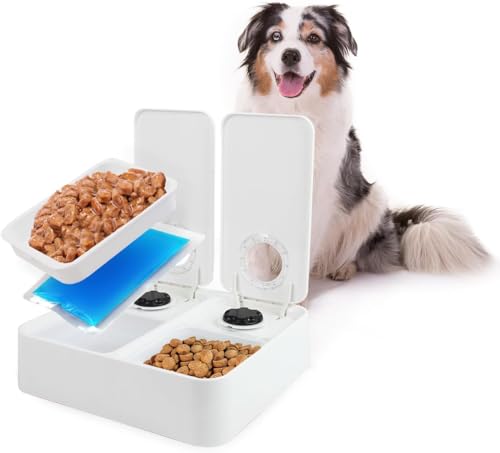 All for Paws Automatic Cat Feeder 2 Meal Dog Feeder, Dry and Wet Food Dispenser with 48-Hour Timer, Ice Pack Included All for Paws Automatic Cat Feeder 2 Meal Dog Feeder, Dry and Wet Food Dispenser with 48-Hour Timer, Ice Pack Included von ALL FOR PAWS