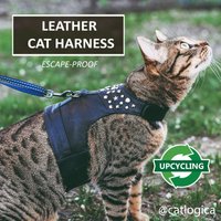 Upcycling Leder Geschirr Für Rock Star. Schwer Zu Entkommen. Total Schwarze Handgemachte Weste. Maßanfertigung. Katze Wanderjacke. | Allcatsgood von ALLCATSGOOD