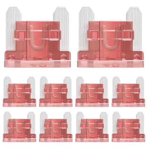 ALLECIN 50 Stück 40A Micro KFZ Sicherungen Mikro 40Ampere Autosicherungen Low Profile Mini 40Amp Flachsicherungen Stecksicherung Niedriges Profil Auto Sicherung für Wohnmobil PKW LKW ALLECIN 50 Stück 40A Micro KFZ Sicherungen Mikro 40Ampere Autosicherungen Low Profile Mini 40Amp Flachsicherungen Stecksicherung Niedriges Profil Auto Sicherung für Wohnmobil PKW LKW von ALLECIN