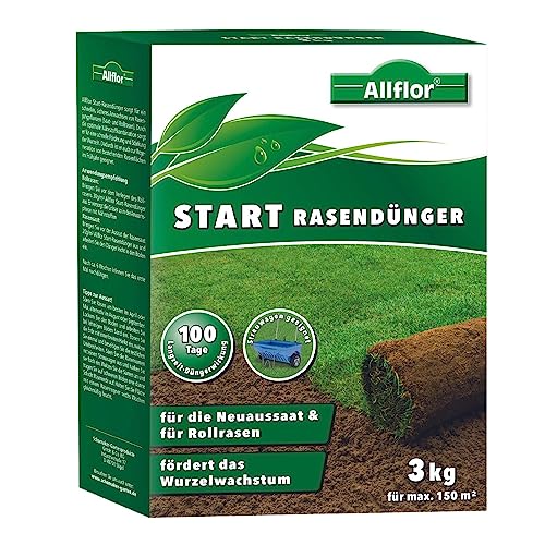 Allflor Start-Rasendünger 1 x 3 kg I Für die Neuaussaat & Rollrasen I Rasendünger streuwagenfähig in der Faltschachtel I Mit optimaler Nährstoffkombination für starke Wurzeln I Für ca. 150m² von ALLFLOR