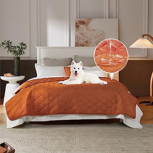 ALLISANDRO Hundedecke Reversible wasserdichte Haustier Sofa Abdeckung, Couch-Schutz, Große Haustierdecken für Hunde und Katzen, Sofaauflage, 208 x 140 cm, Orange von ALLISANDRO